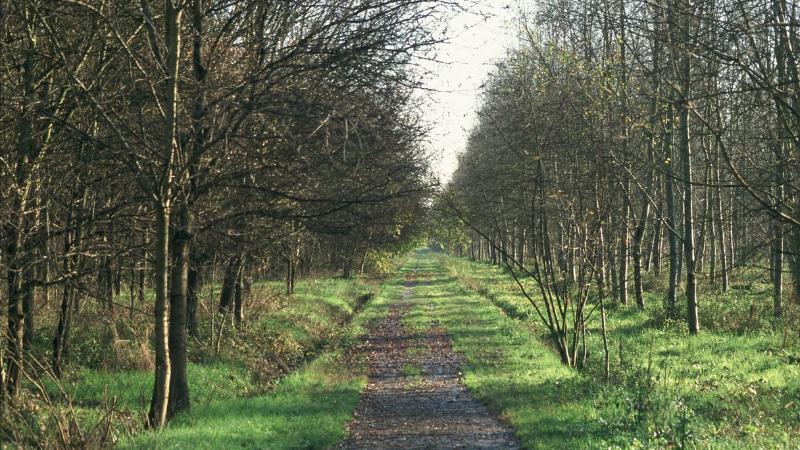 Tra Terra e Acqua: da Pieve di Cento al Bosco della Panfilia - Samaritani, via archivio sito Emilia-Romagna Turismo 