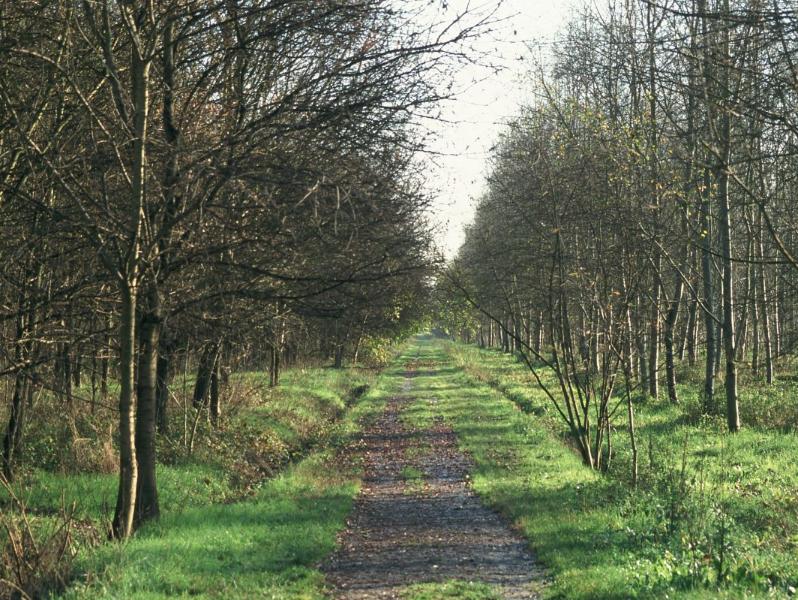 Tra Terra e Acqua: da Pieve di Cento al Bosco della Panfilia - Samaritani, via archivio sito Emilia-Romagna Turismo 