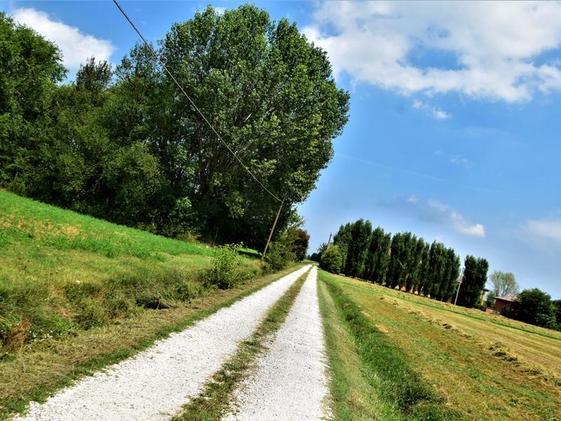 Antiche Paludi Bolognesi Cycle route