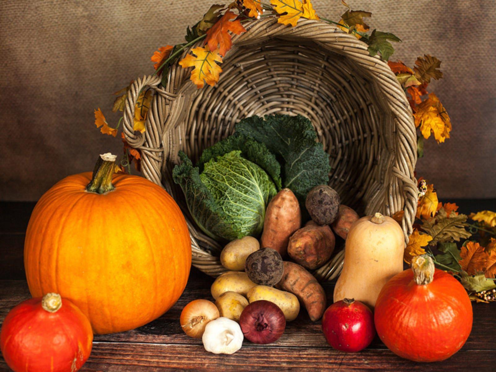 Fiera d'Autunno a Funo di Argelato