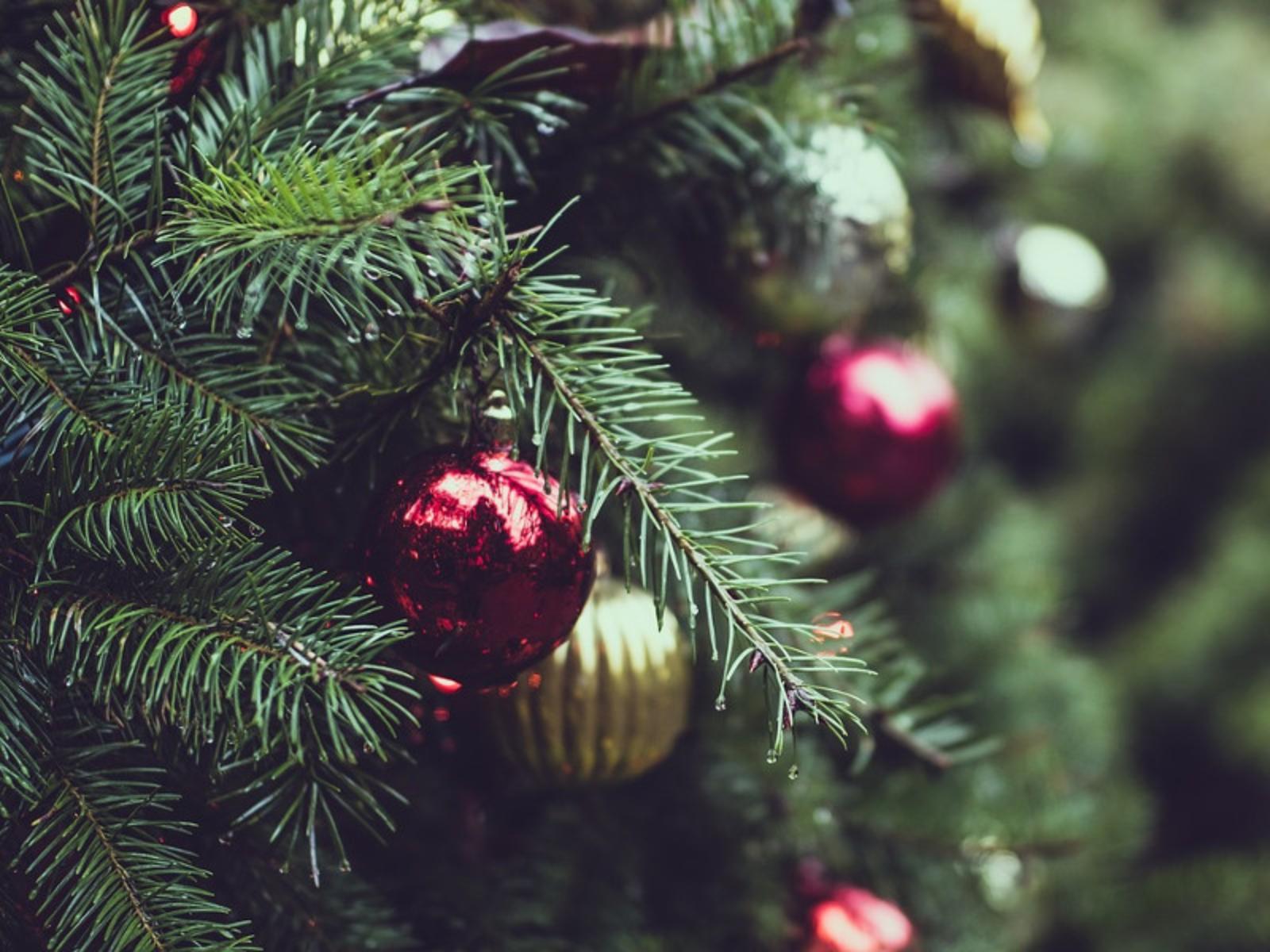 Eventi di Natale a Crevalcore Eventi di Natale a Crevalcore