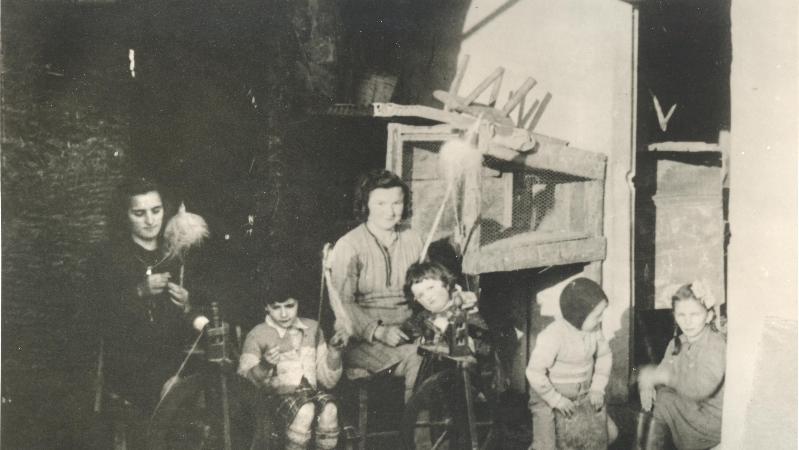  Festa della canapa