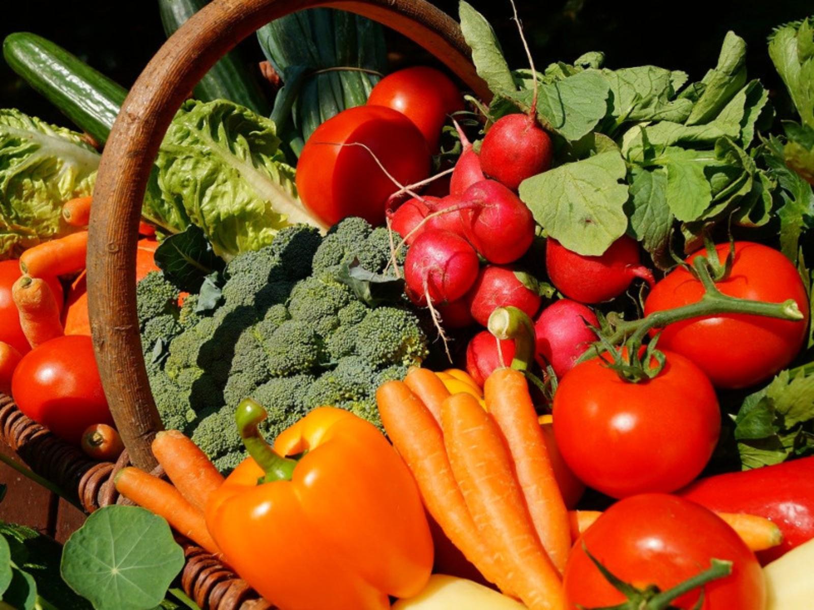 Farmer's market a Villanova