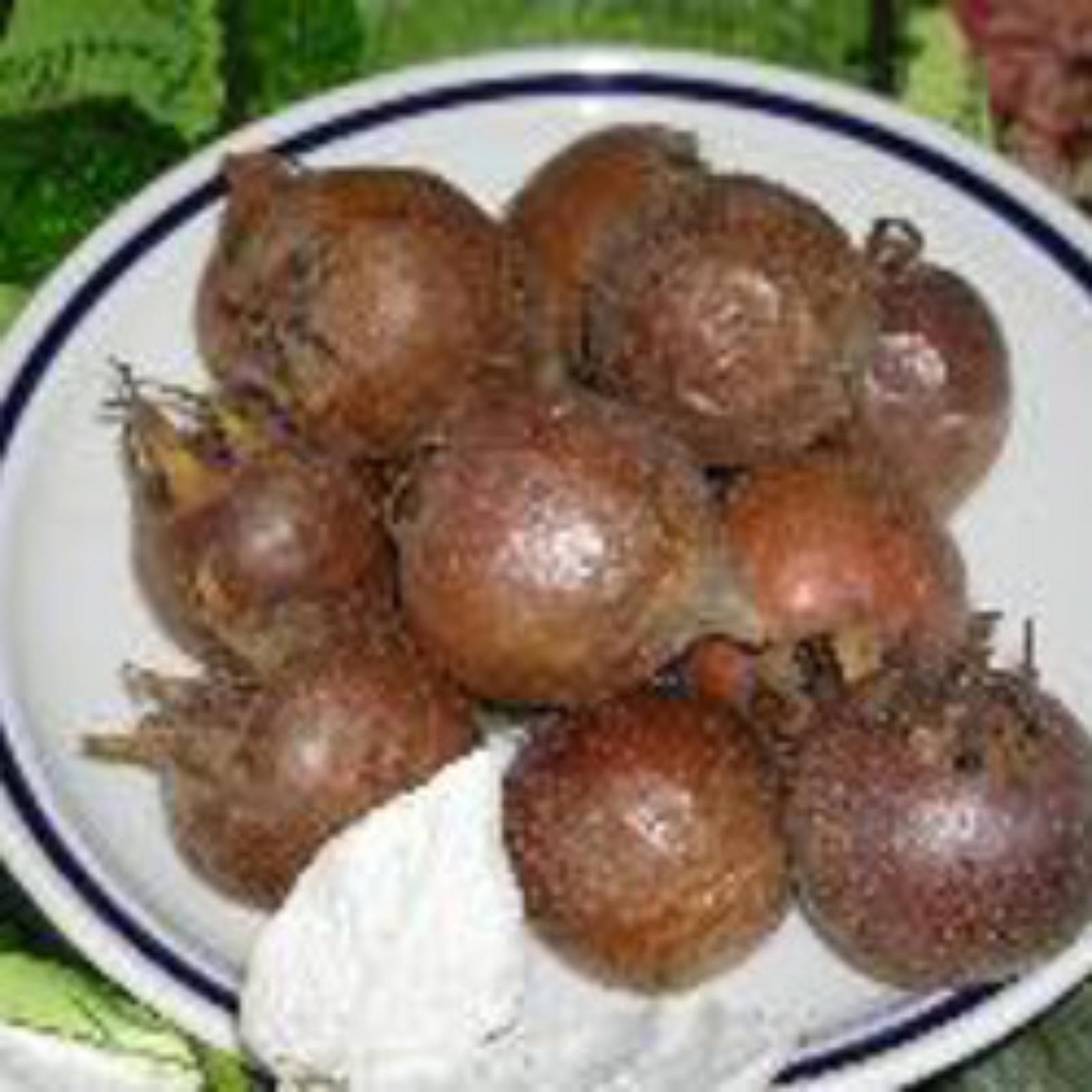 Medlar with municipal denomination of origin