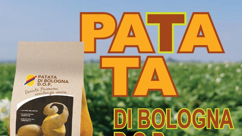 Patata D.O.P di Bologna, unione di culture di tutto il mondo