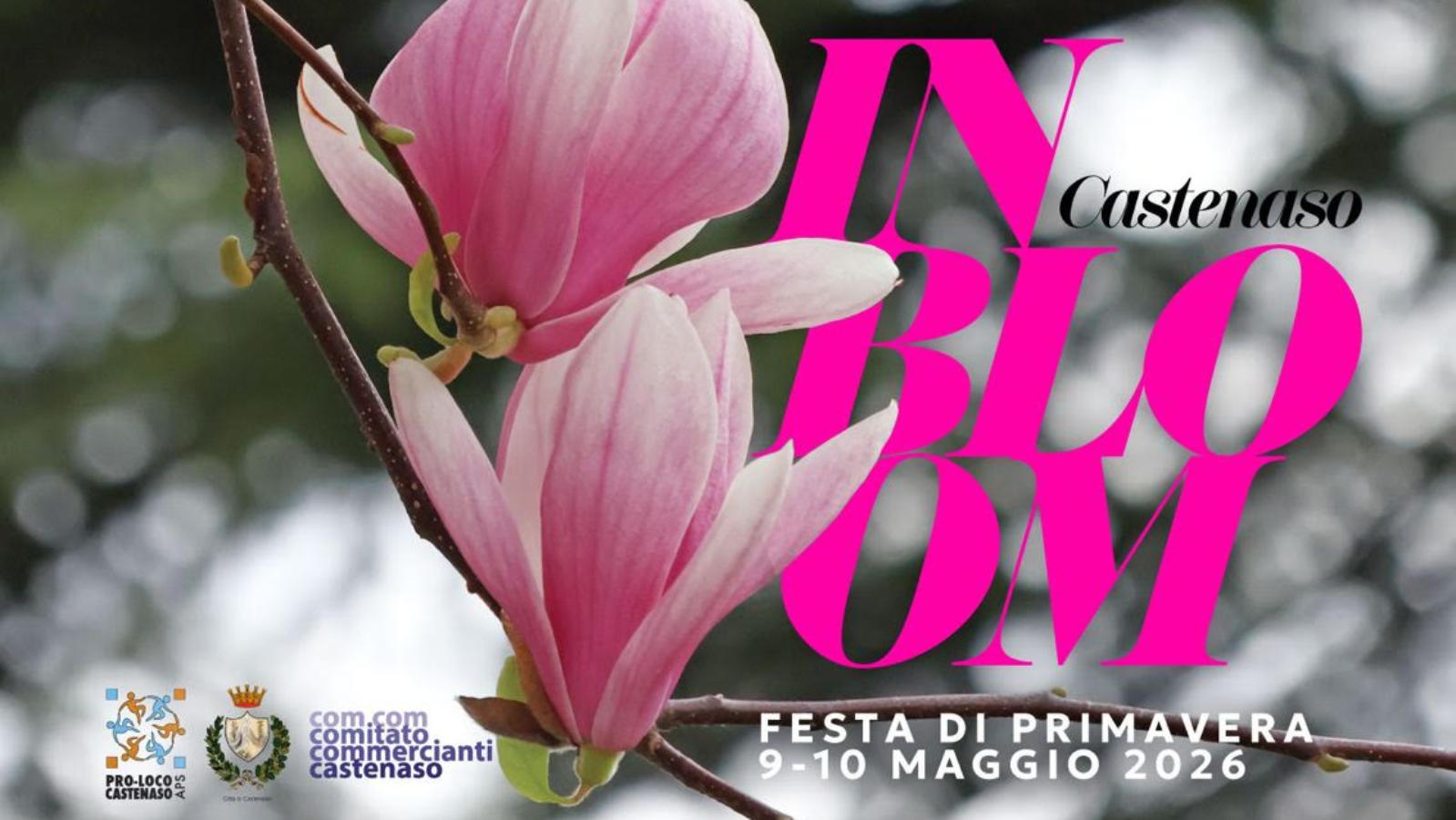 Festa di Primavera Castenaso