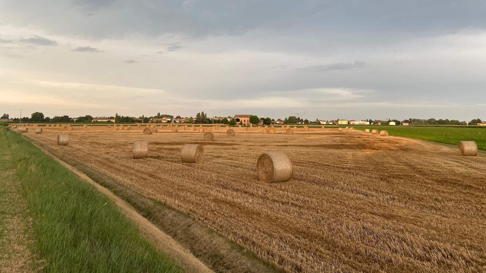 La campagna di Galliera