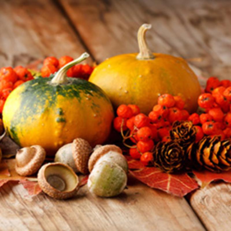Sagra dei sapori d'autunno