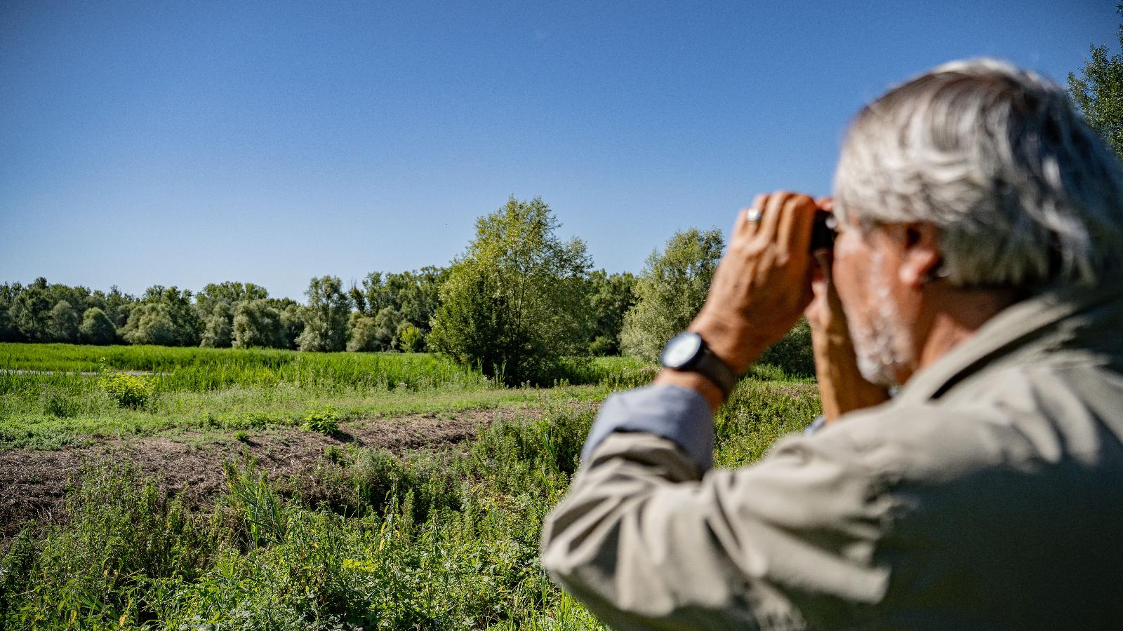 Birdwatching