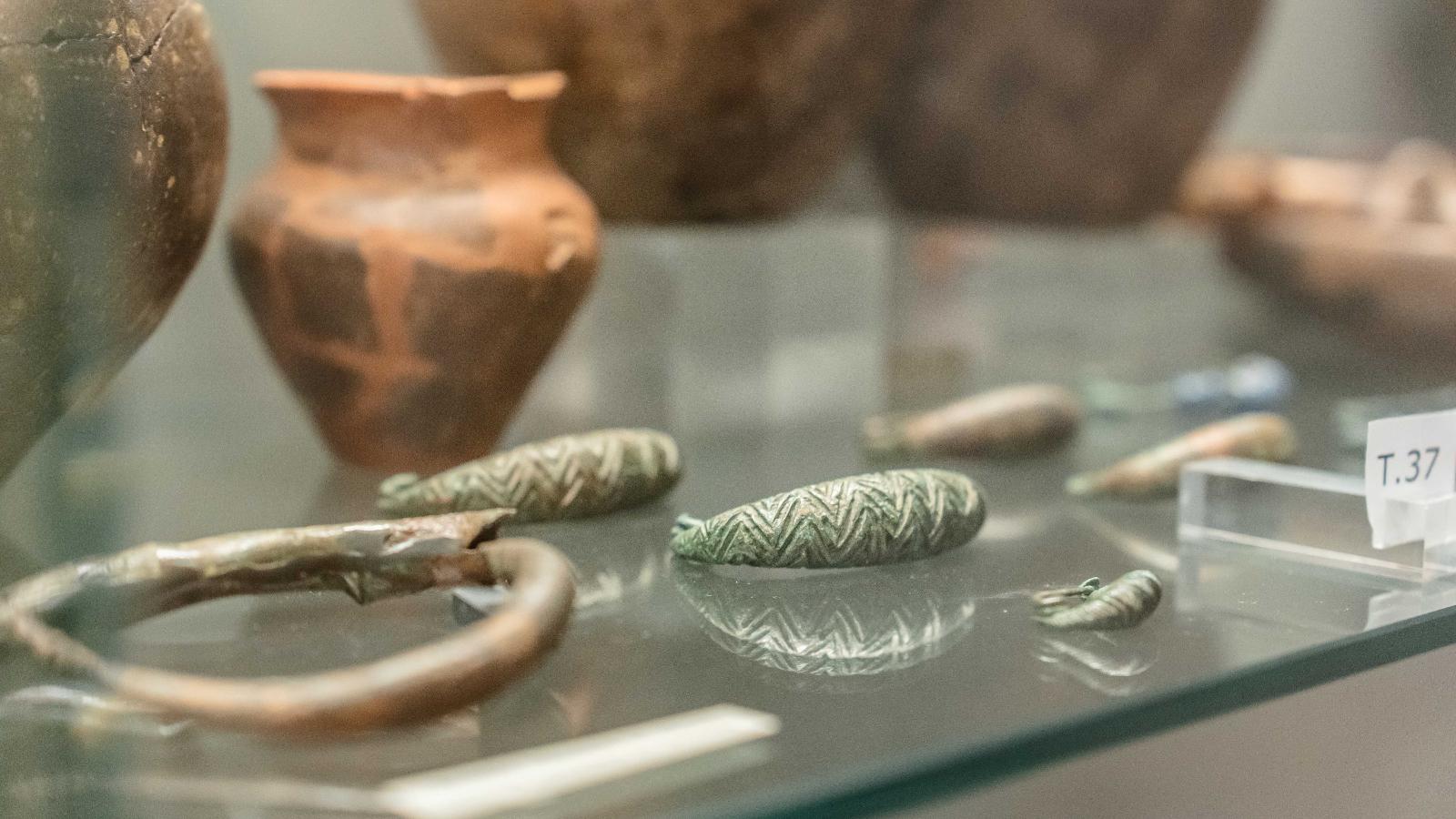 Museo archeologico Budrio