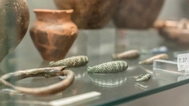 Museo archeologico e paleoambientale Elsa Silvestri