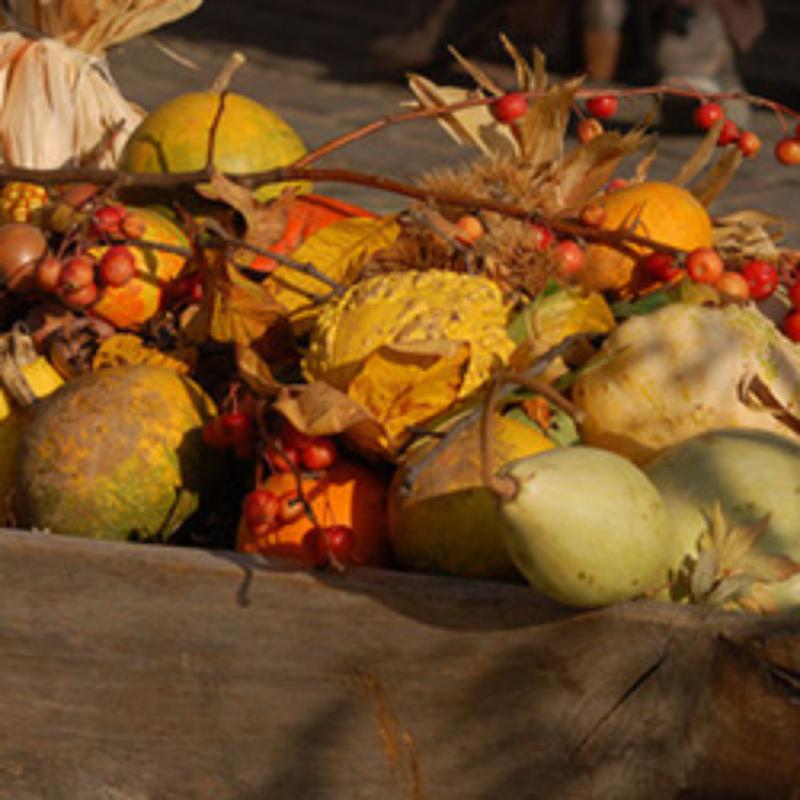 Giornata del ringraziamento a Minerbio