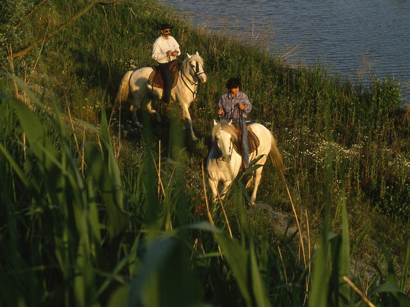 A cavallo in campagna e in collina