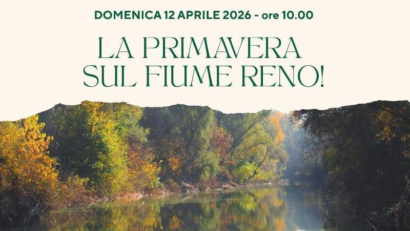 La Primavera sul fiume Reno!