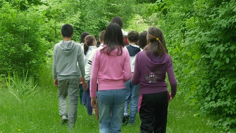 Primavera nelle oasi di Pianura