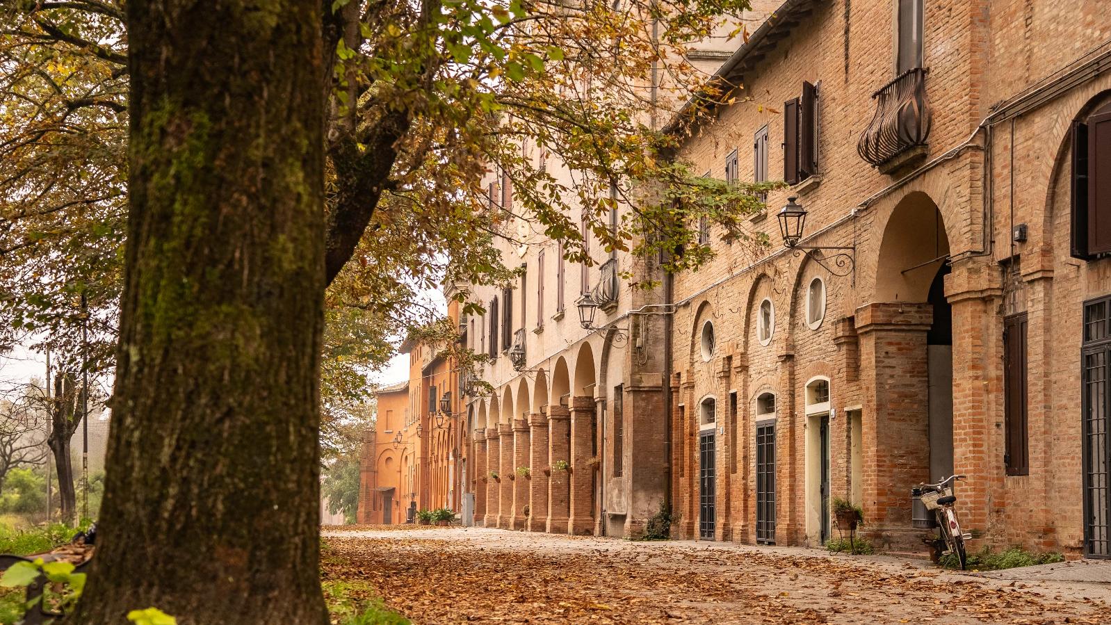 Molinella autunno