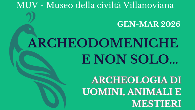 Archeodomeniche e non solo... al MUV