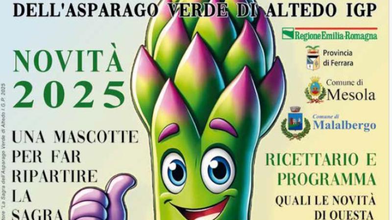 Sagra dell'asparago verde di Altedo IGP