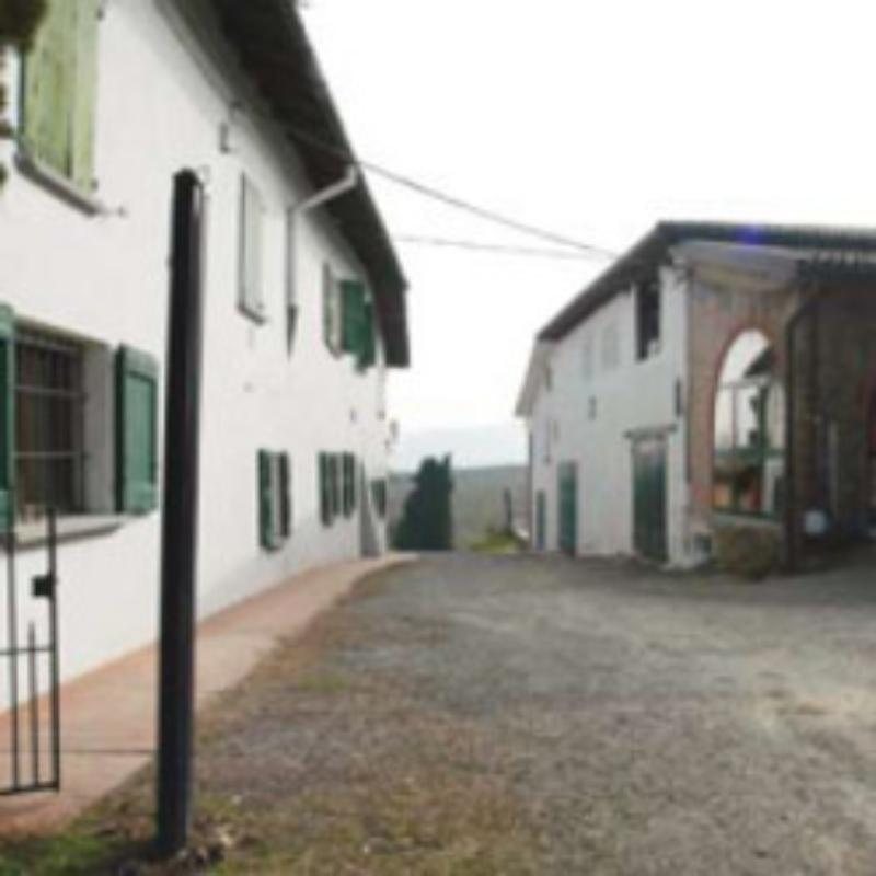 Wine farm owned by Enrico Vallania