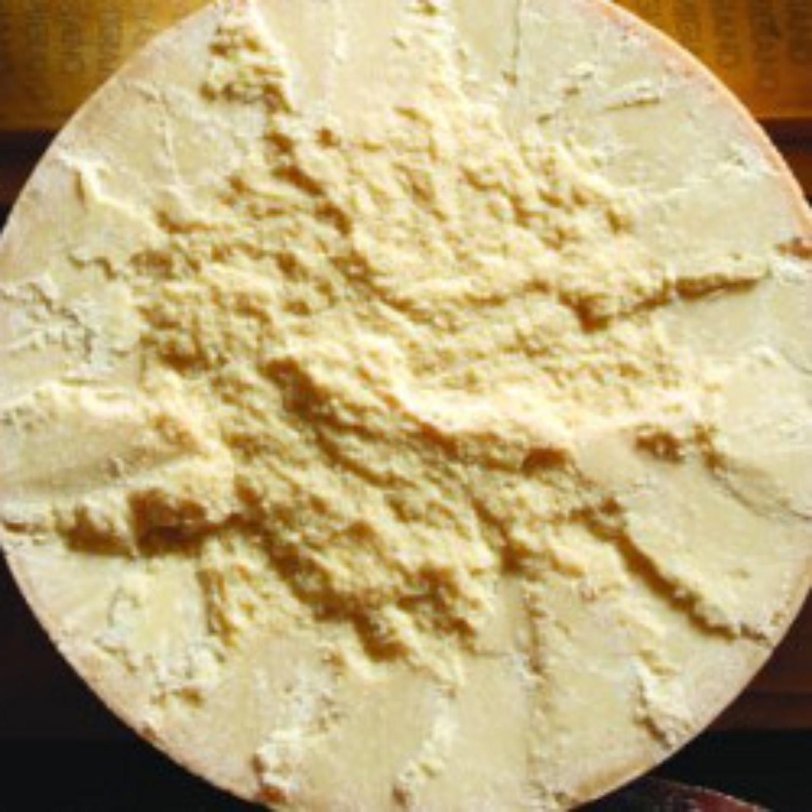 Parmigiano-Reggiano producer and cheese-making