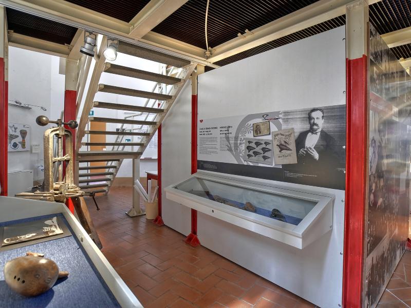Museo dell'ocarina e degli Strumenti musicali in terracotta Franco Ferri
