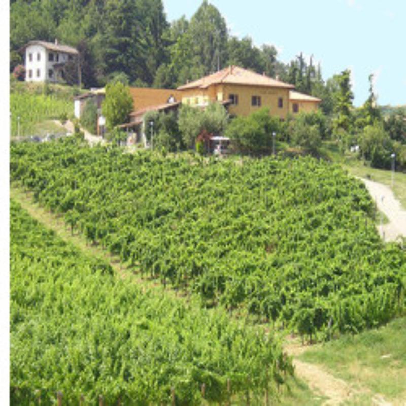 Controlled Denomination of Origin Colli Bolognesi wines